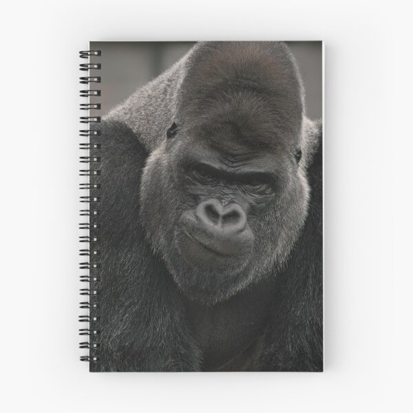 Item preview, Oumbi The Silverback Gorilla's Smirk designed and sold by rawshutterbug.