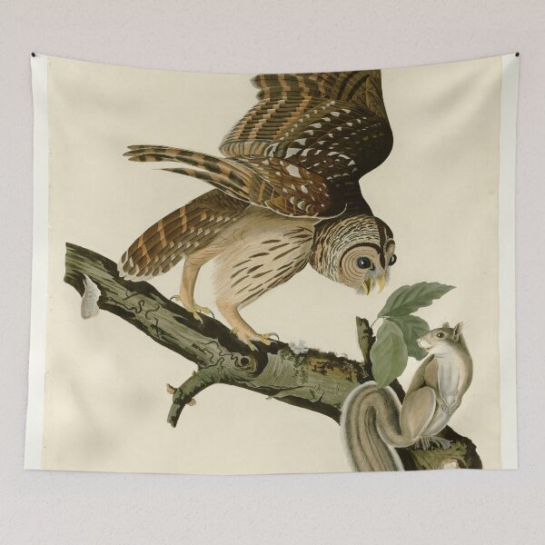 Item preview, 46 Barred Owl designed and sold by Bird-Lore.