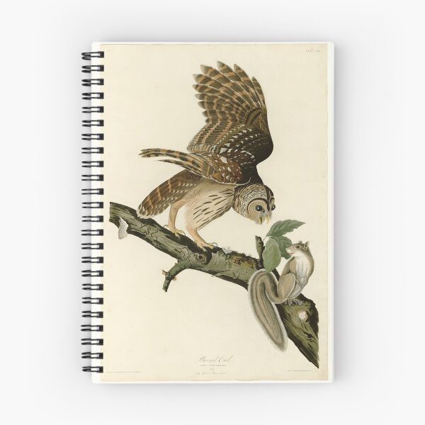Item preview, 46 Barred Owl designed and sold by Bird-Lore.