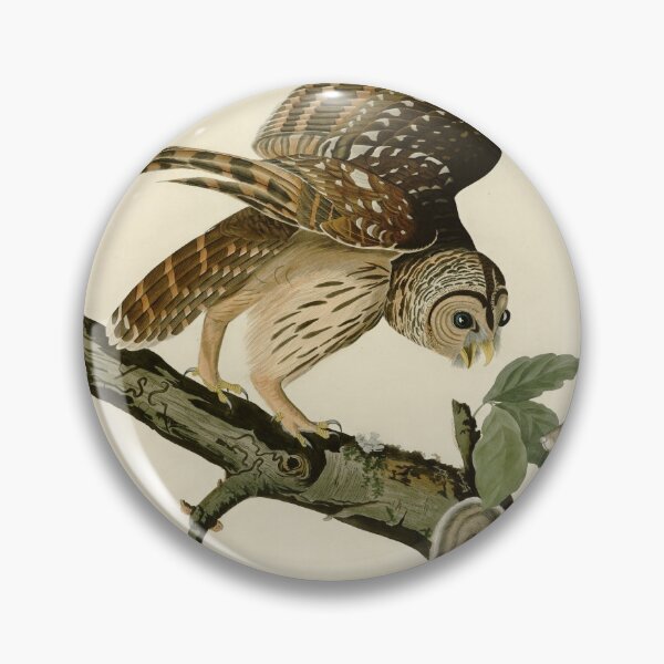 Item preview, 46 Barred Owl designed and sold by Bird-Lore.