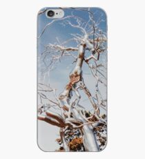 branching iPhone Case