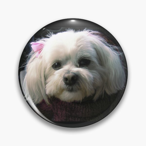Item preview, Portrait of Muffy  designed and sold by Roz McQuillan Fine Art & Photography.