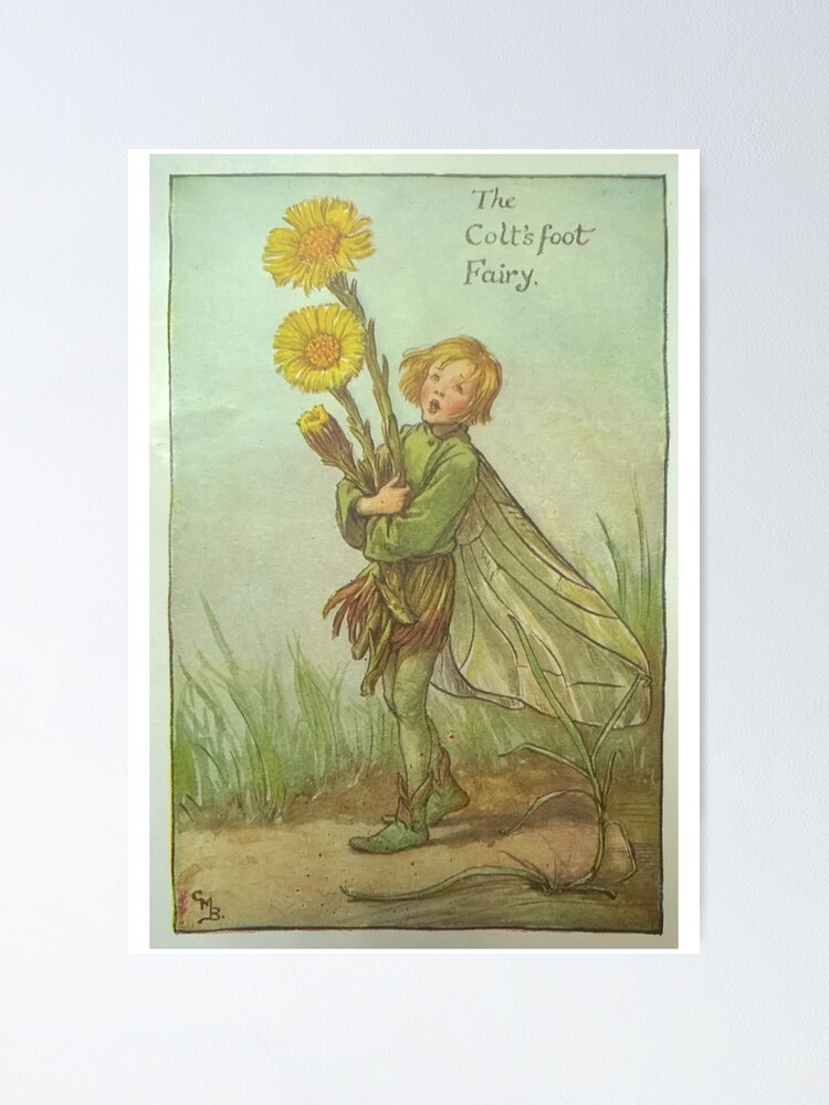 Alternate view of “The Colt’s Foot Fairy” by Cicely Mary Barker Poster