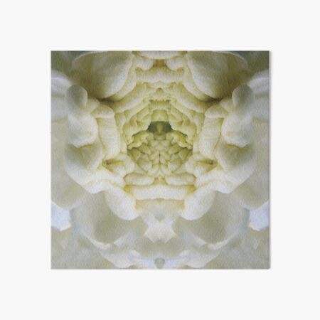 Blossom White Art Board Print
