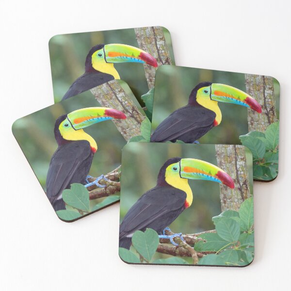 Item preview, Beautiful Colorful Bird Perched designed and sold by TagCreation.