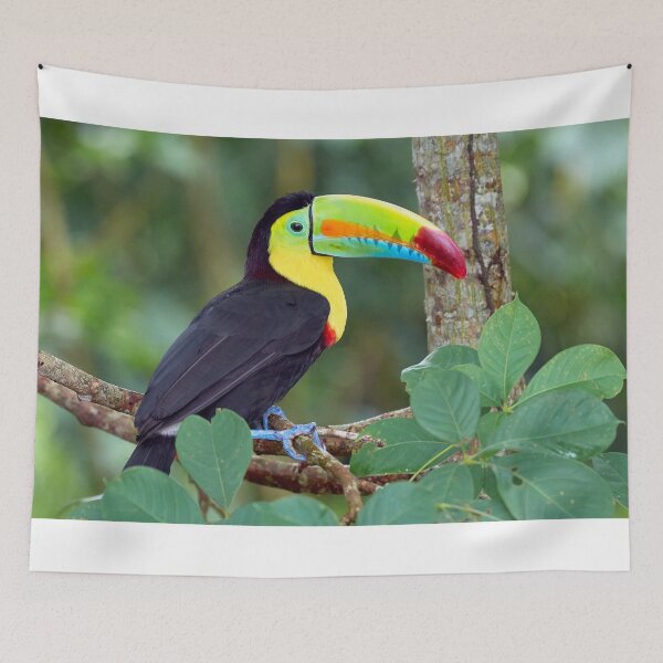 Item preview, Beautiful Colorful Bird Perched designed and sold by TagCreation.