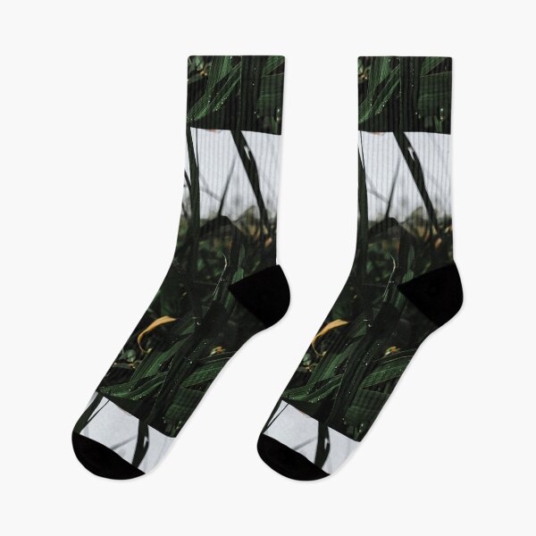 Item preview, Fresh Morning designed and sold by Vikas Sawant.