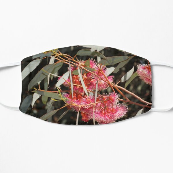 Pink Flowering Gum by Avril Thomas, South Australian artist Mask