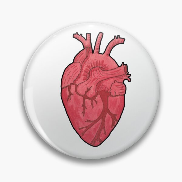 Item preview, Anatomical heart designed and sold by artemisizzy.