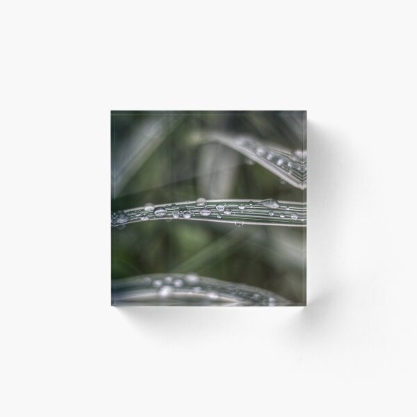 Raindrops Acrylic Block