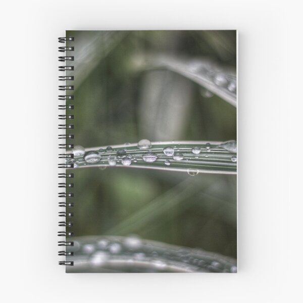 Item preview, Raindrops designed and sold by AriusLT.