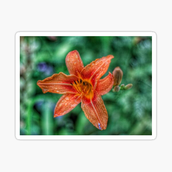 Macro flower Sticker
