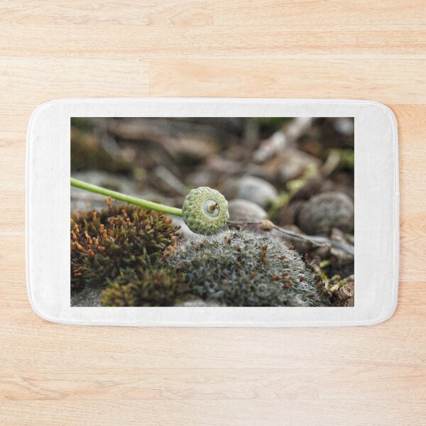 Item preview, Acorn designed and sold by AriusLT.