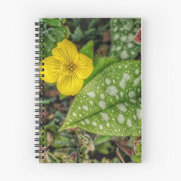 Item preview, Nature composition designed and sold by AriusLT.