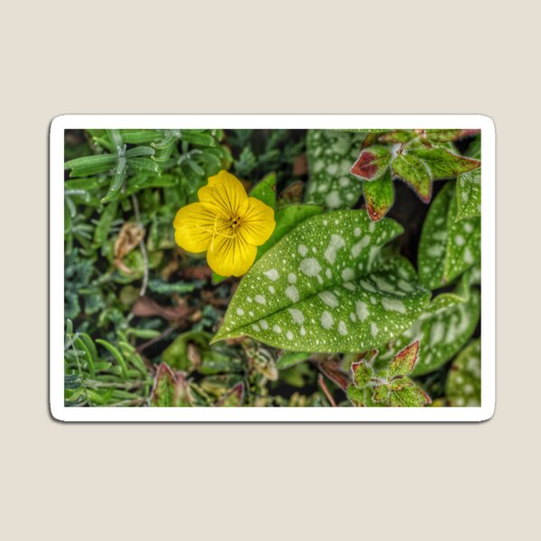 Item preview, Nature composition designed and sold by AriusLT.