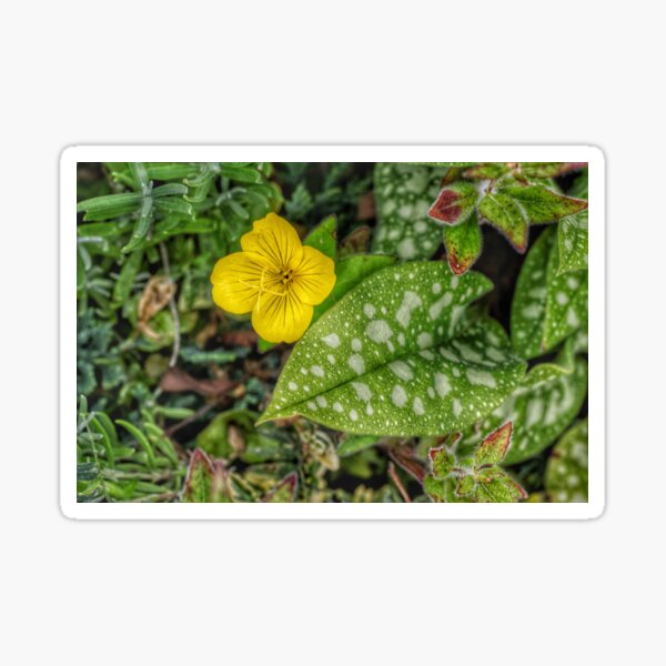 Nature composition Sticker
