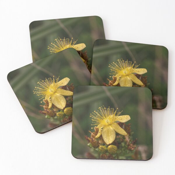 Item preview, Yellow flower designed and sold by AriusLT.