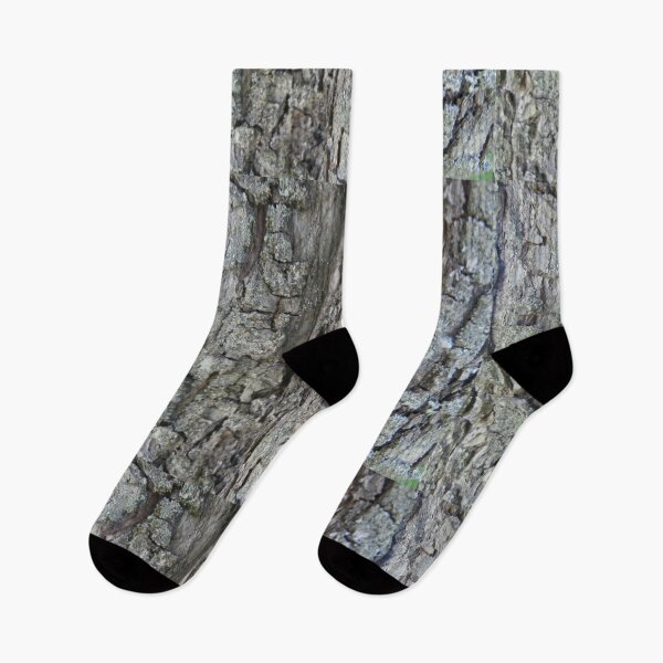 Item preview, pear bark of tree grey designed and sold by miaterinka.