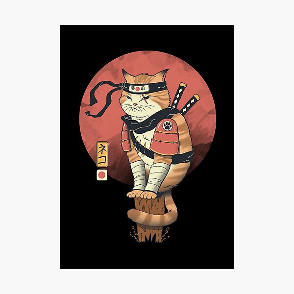 Shinobi Cat Photographic Print