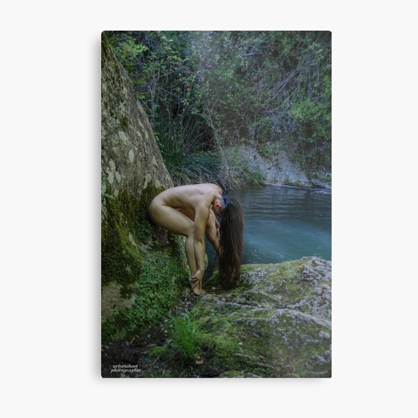 the french lady of the lake Metal Print