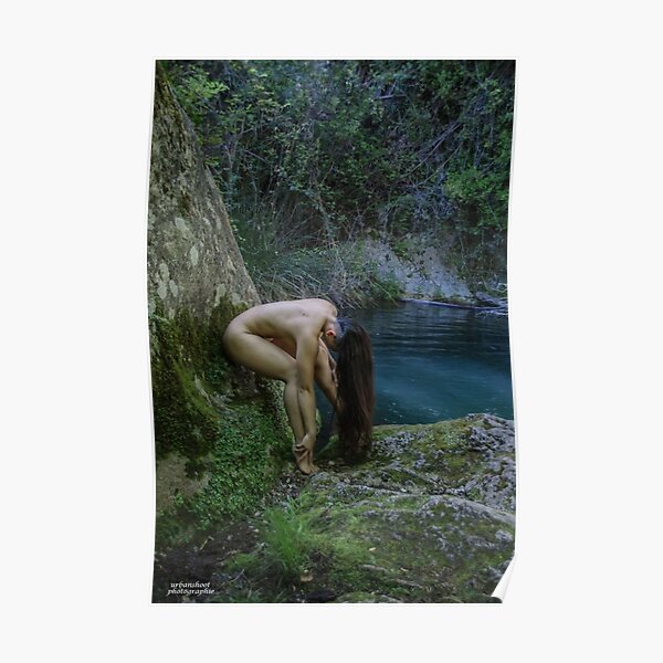 the french lady of the lake Poster