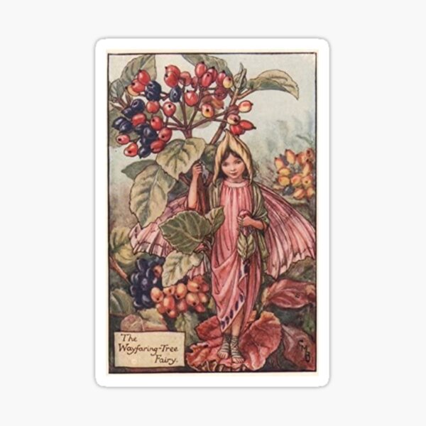“The Wayfaring Tree Fairy” by Cicely Mary Barker Sticker