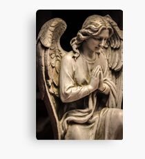 Don't Blink Canvas Print