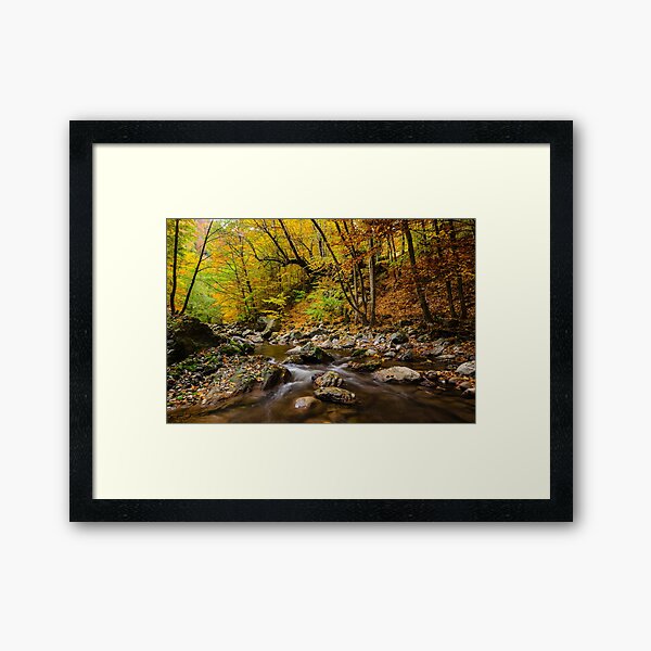 Autumn is coming 1 Framed Art Print
