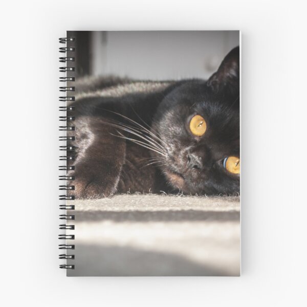 Item preview, British Shorthair Cat Lying on Side designed and sold by shane22.