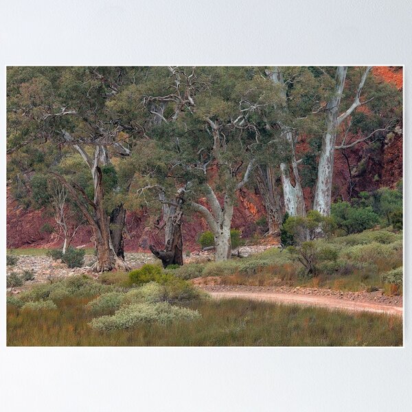 Item preview, Brachina Gorge designed and sold by Harley Rustin.