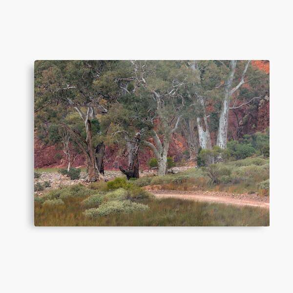 Item preview, Brachina Gorge designed and sold by Harley Rustin.