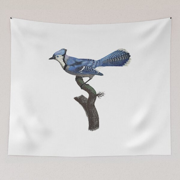Item preview, Blue jay designed and sold by Photopicture.