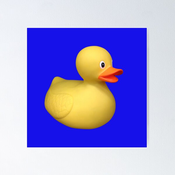 Rubber Duck, duck fishing in the bath, Bathroom, funny poster 