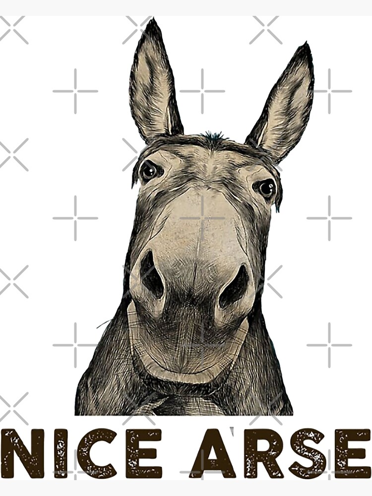 "Donkey Nice Arse funny gifts" Art Print for Sale by moonchildworld