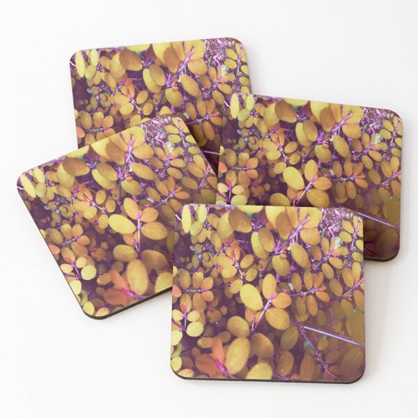 Item preview, Leaves plant nature aesthetic picture yellow designed and sold by spooks draws.