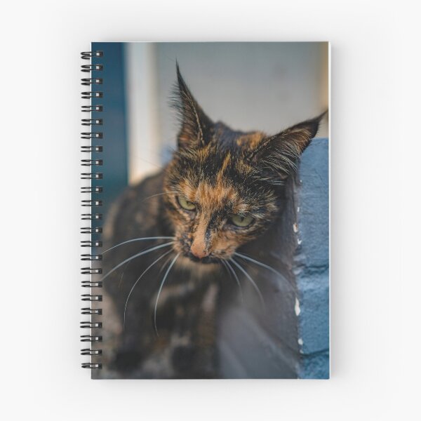 Item preview, Streetcat designed and sold by JMKphotos.