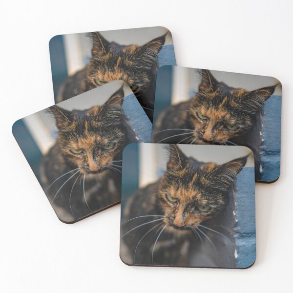 Item preview, Streetcat designed and sold by JMKphotos.