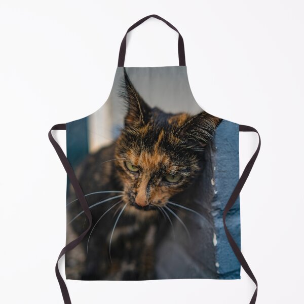 Item preview, Streetcat designed and sold by JMKphotos.