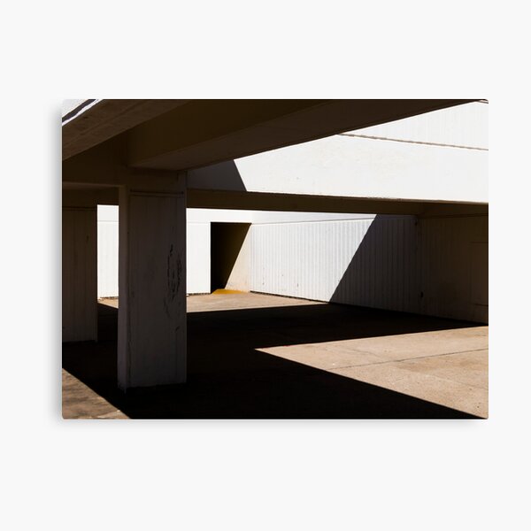 Shadowplay Canvas Print