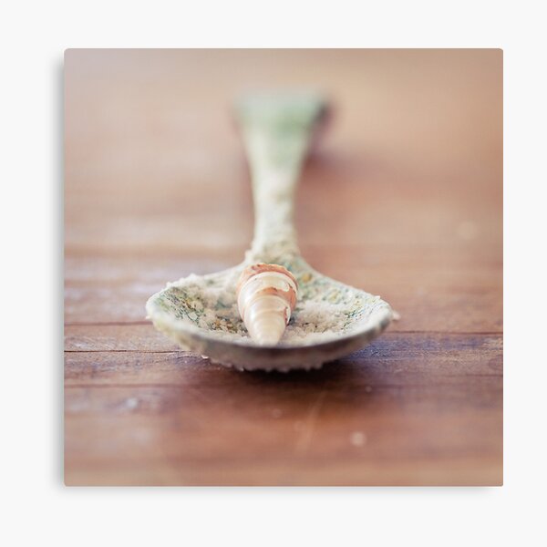 Still Life ~ Salty Canvas Print