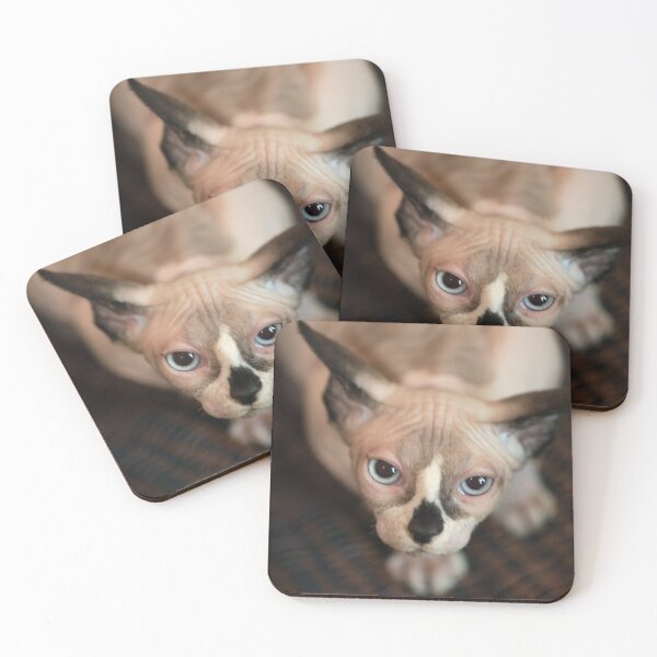 Item preview, Portrait of cut sphinx cat designed and sold by olena2552.