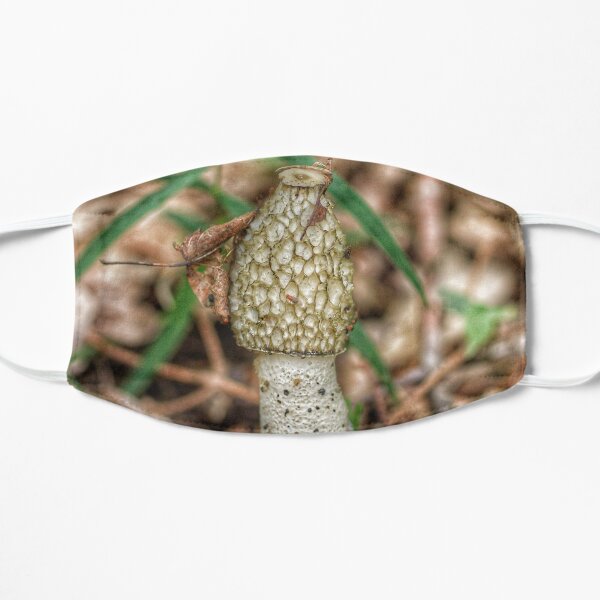 Mushroom Mask
