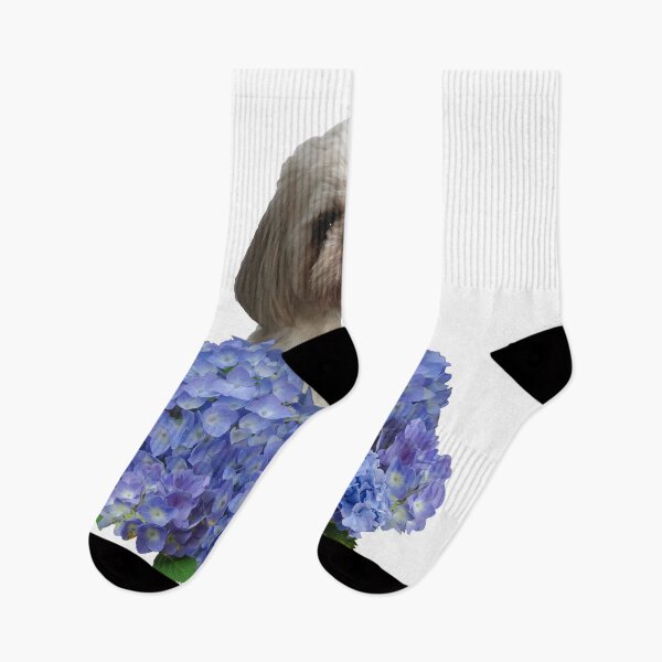 Item preview,  Paul - Shih tzu dog behind blue hydrangea Flower Blossoms designed and sold by Move-Art.