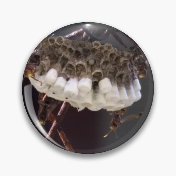 Item preview, Intimate Encounter designed and sold by Kerryn Madsen-Pietsch.