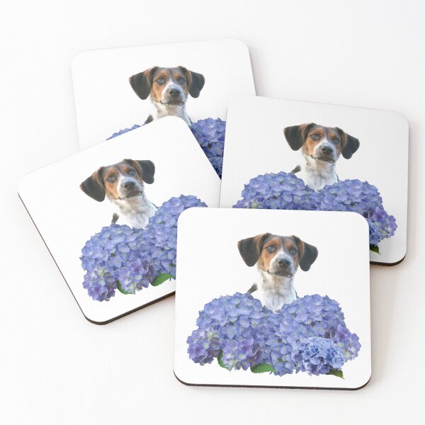 Item preview, Jack Russell Terrier dog behind blue hydrangea Flower Blossoms designed and sold by Move-Art.