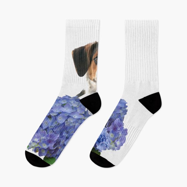 Item preview, Jack Russell Terrier dog behind blue hydrangea Flower Blossoms designed and sold by Move-Art.