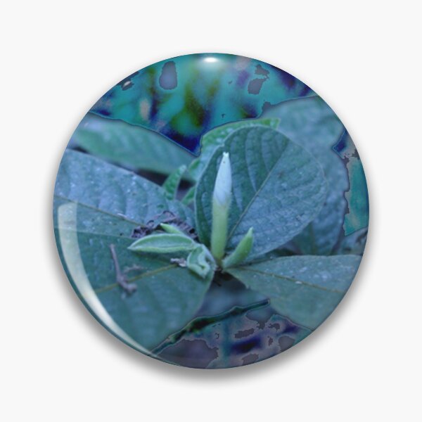 Item preview, Floating ~ Candle Bud II, Bartle Frere Rainforest FNQ designed and sold by Kerryn Madsen-Pietsch.