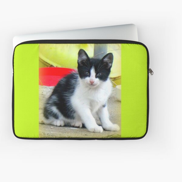 Aperçu de l'œuvre Chaton noir et blanc créée et vendue par angel1.