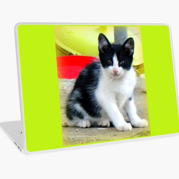 Aperçu de l'œuvre Chaton noir et blanc créée et vendue par angel1.