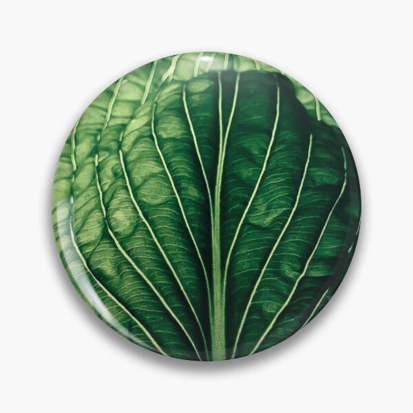 Item preview, Hosta Leaf Photograph designed and sold by MazGhani.